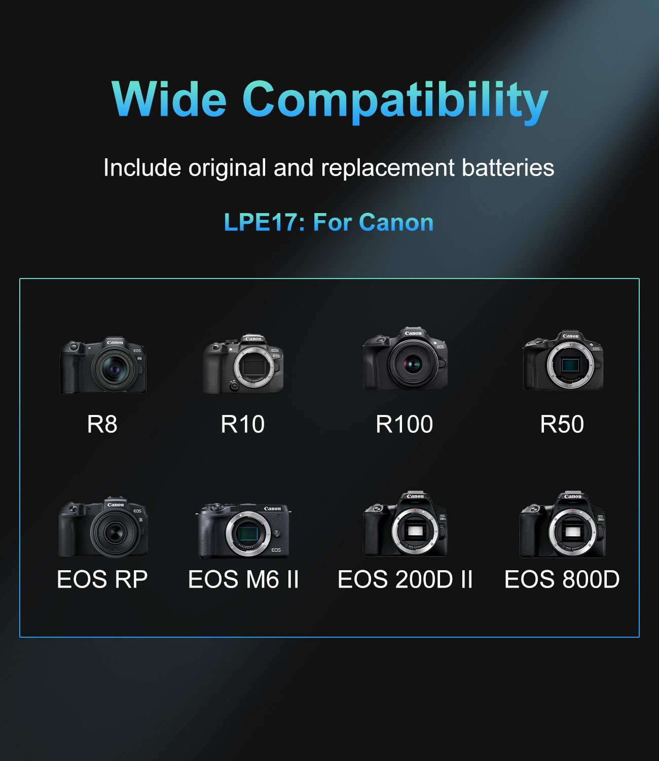 20W USB-C PD Dual Slot Charger - огляд і ціна Canon Camera Eos R8